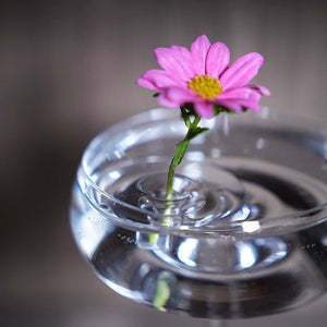 Floating Floral Arrangement Holder