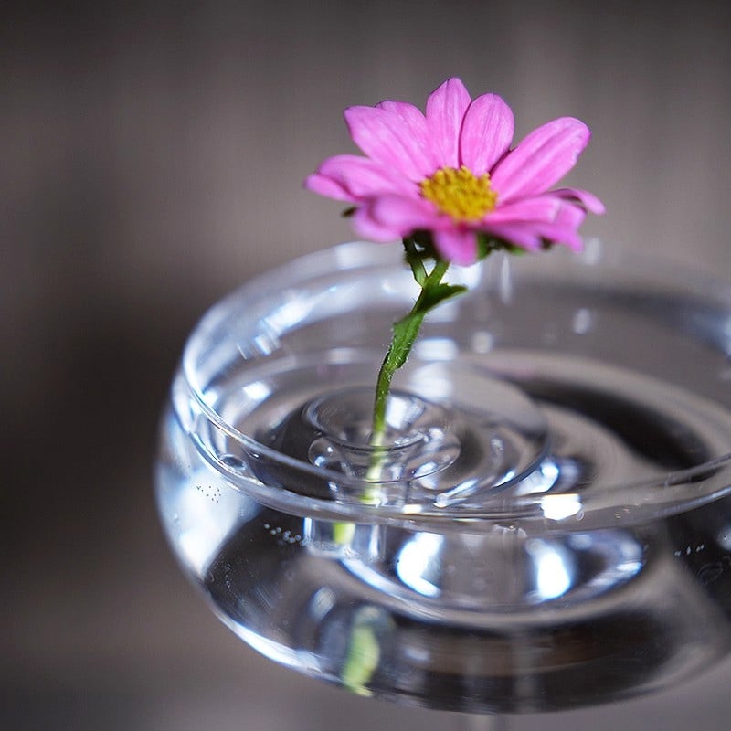 Floating Floral Arrangement Holder