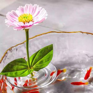 Floating Floral Arrangement Holder